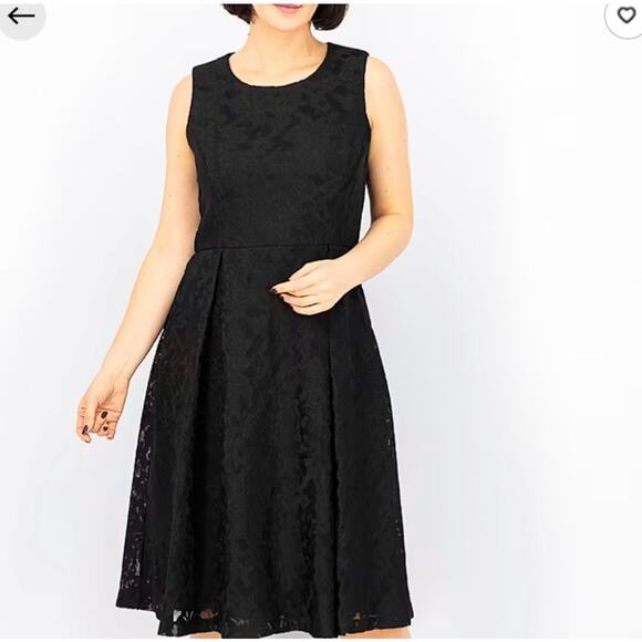 Calvin Klein LBD Lace Fit & Flare Dress Midi Sleeveless Size 6 Pleated - Picture 1 of 7